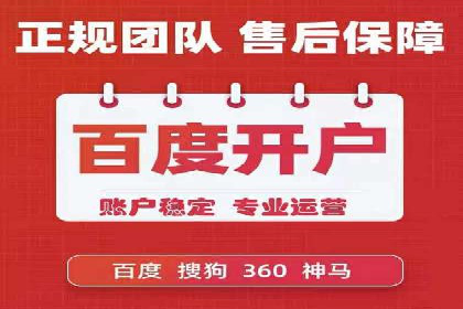 某公司如何通过SEM实现精准营销——从策略到执行的完整案例